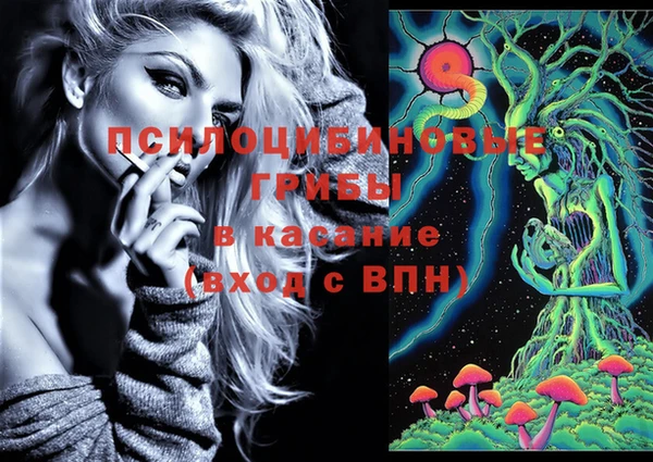 мет Арсеньев