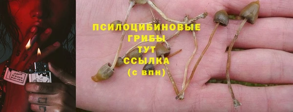 ECSTASY Баксан