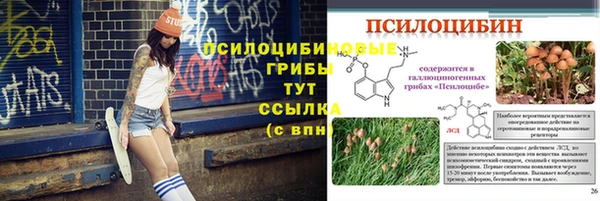 не бодяженный Аркадак