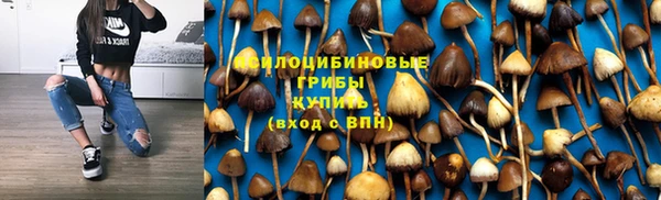 ECSTASY Баксан